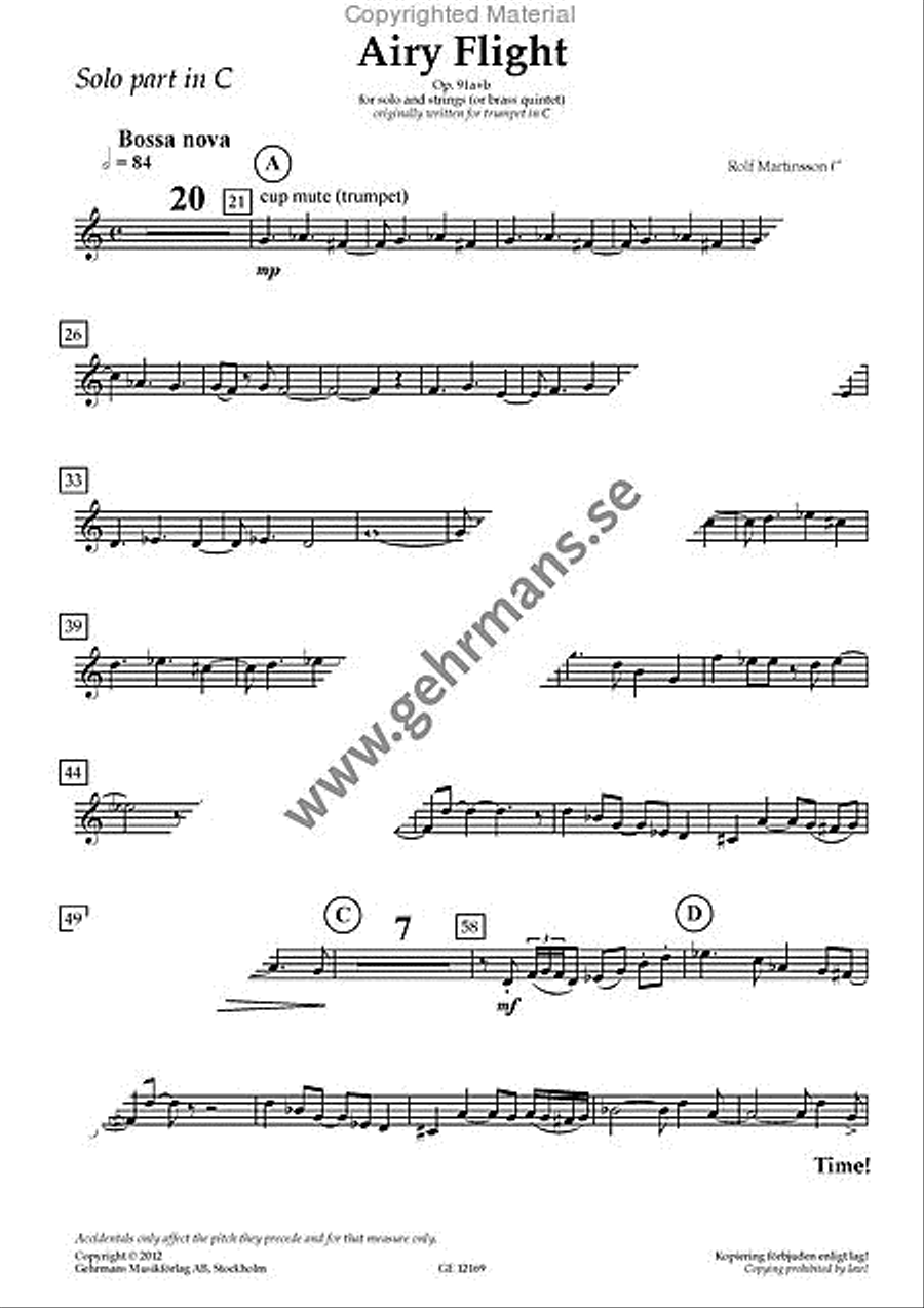 Airy Flight (Solo part) String Orchestra scores gallery preview page 4