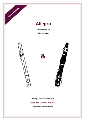 Allegro from Sonatina in F (Flute & Clarinet Duet)