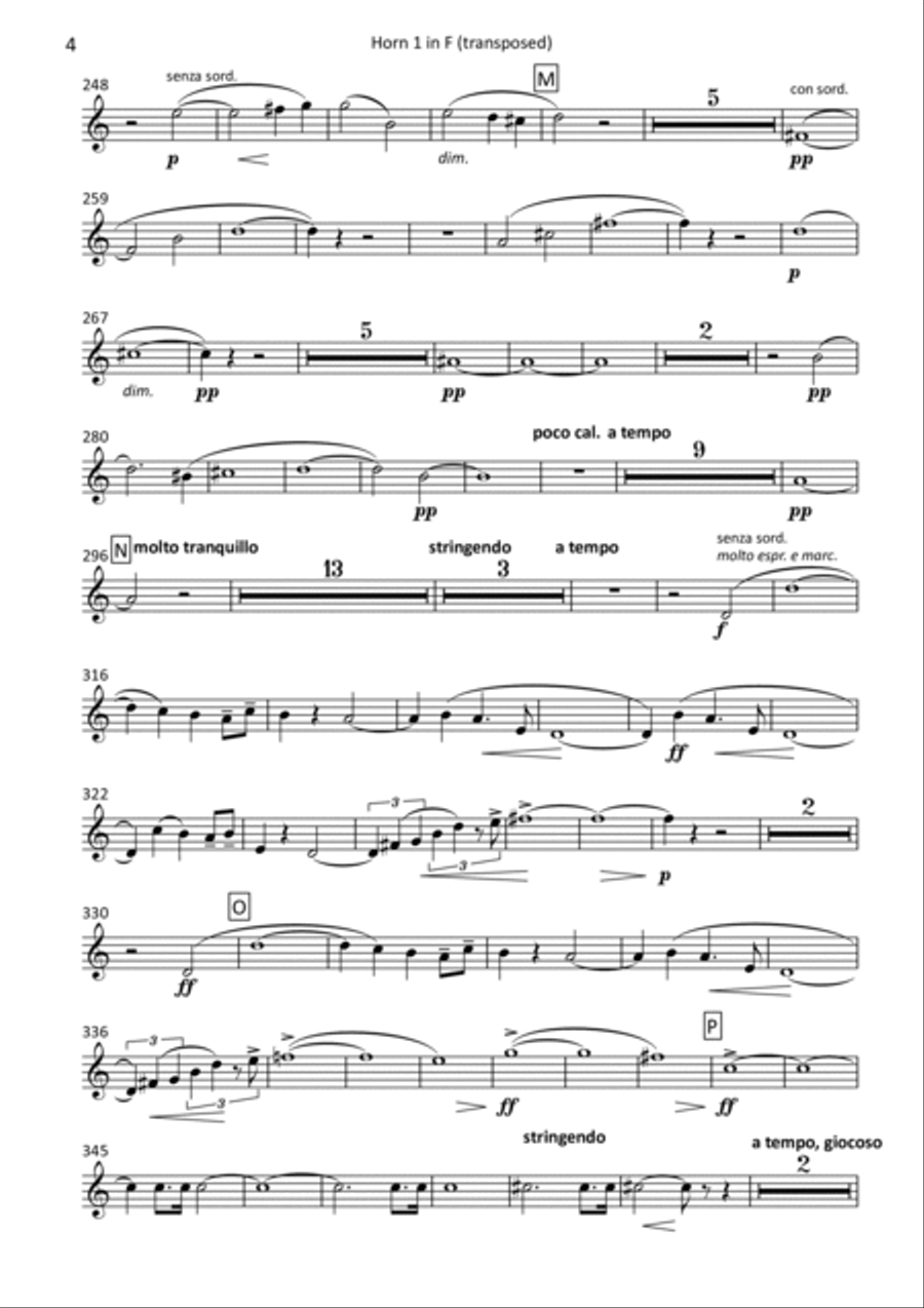 Don Juan - transposed horn parts (1-4) Horn Solo scores gallery preview page 4