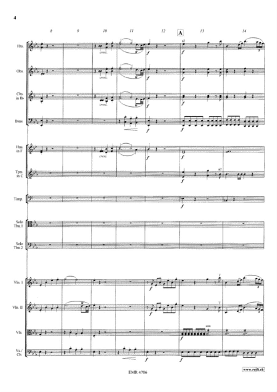 Concerto Orchestra scores gallery preview page 5