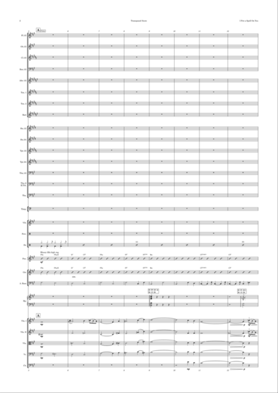 I Put A Spell On You Full Orchestra scores gallery preview page 2