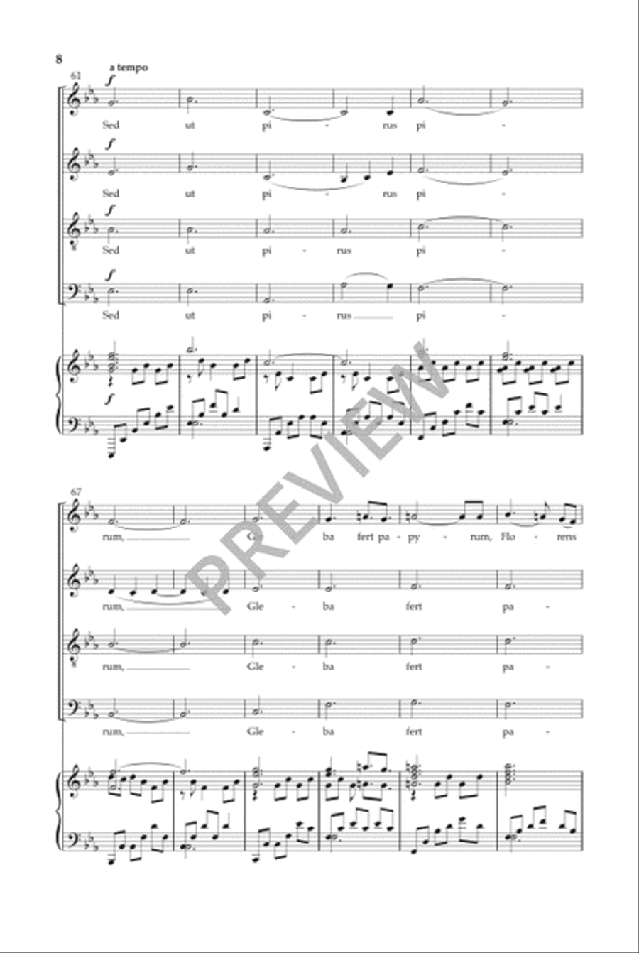 Ecce Novum (SATB) Divisi scores gallery preview page 9