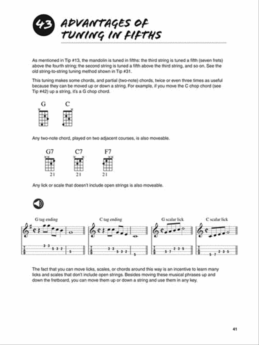 101 Mandolin Tips image number null