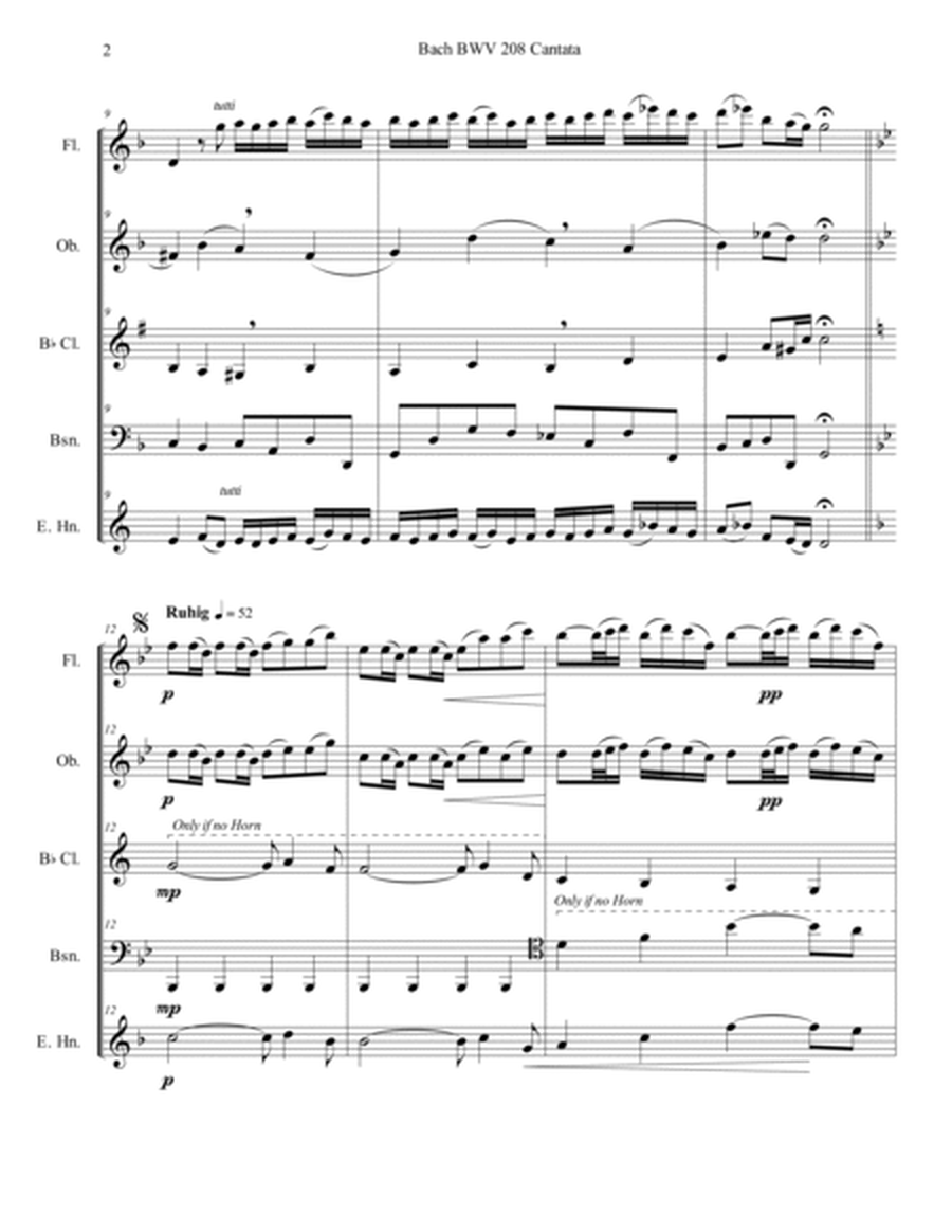Bach BWV 208 Cantata Aria May Sheep Safely Graze