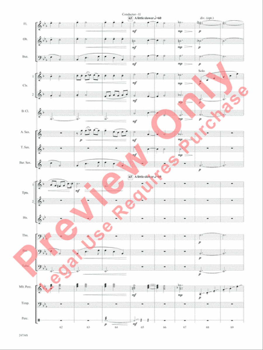 Nocturne (Opus 9, No. 2) Concert Band scores gallery preview page 14