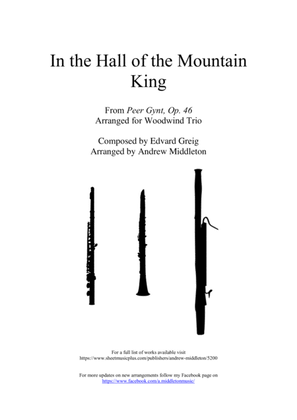 Book cover for In the Hall of the Mountain King arranged for Woodwind Trio