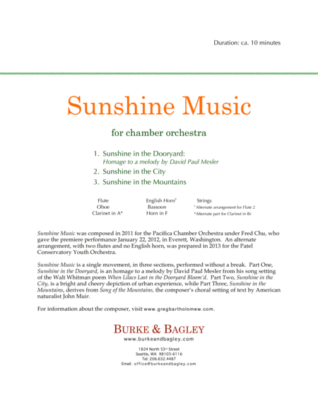 Sunshine Music for chamber orchestra image number null