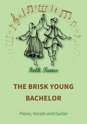 Book cover for The brisk young bachelor
