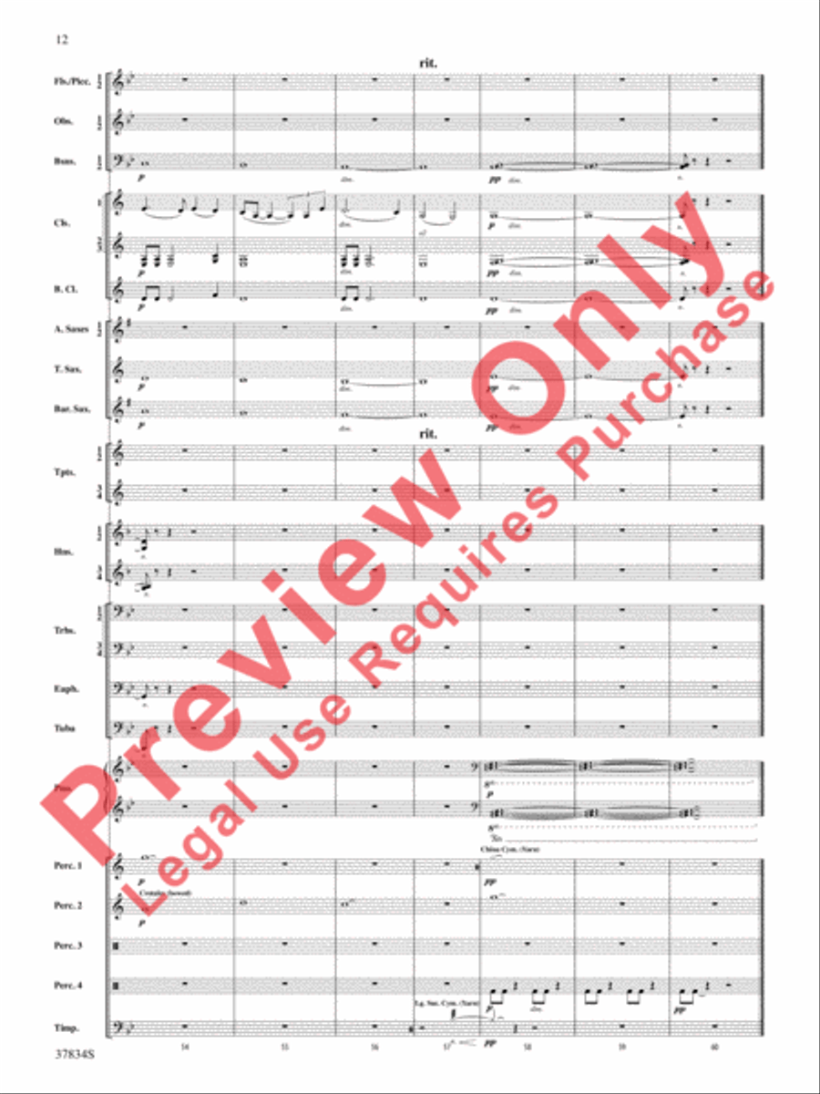 Poor Wayfaring Stranger Poor Wayfaring Stranger Concert Band scores gallery preview page 13