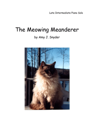 The Meowing Meanderer, piano solo