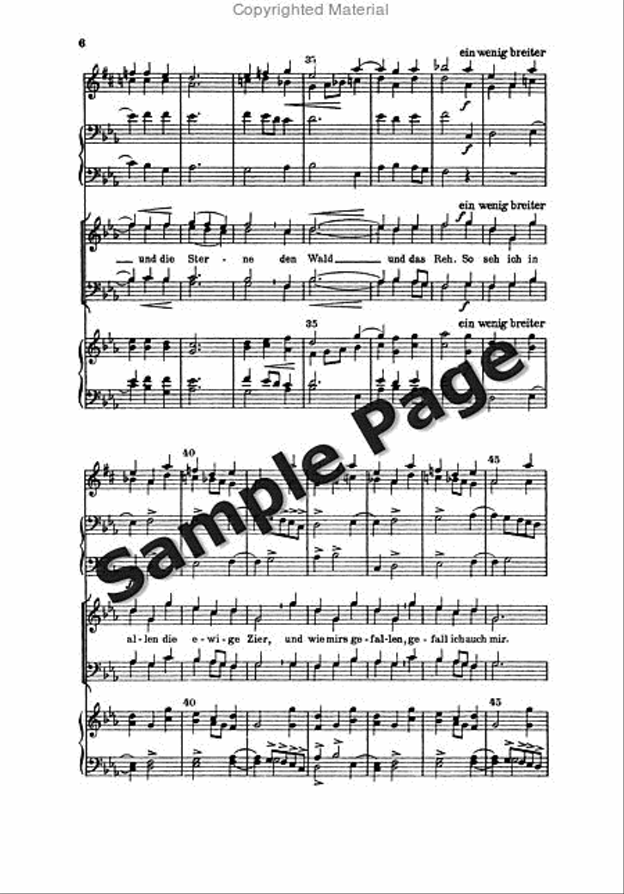 Rein W Tuermerlied TTBB scores gallery preview page 7