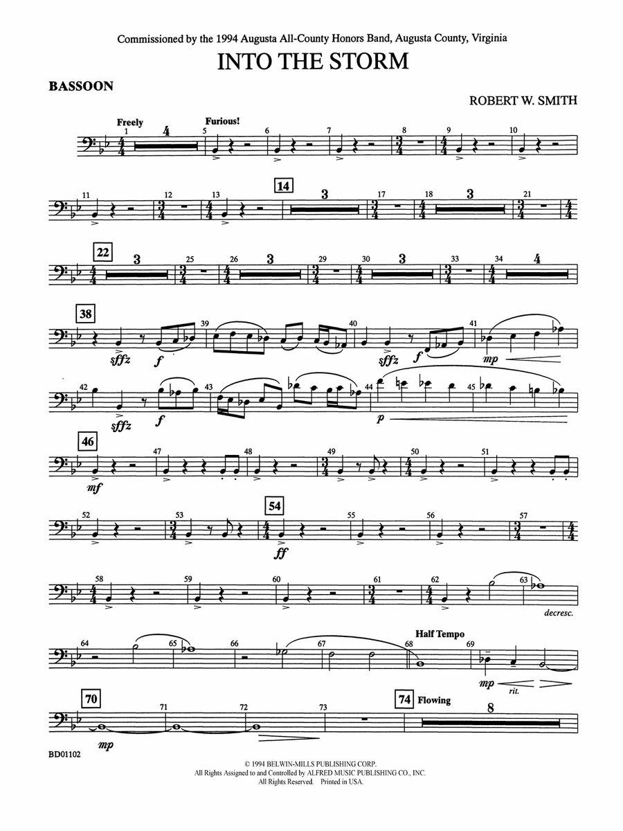 Into the Storm: Bassoon