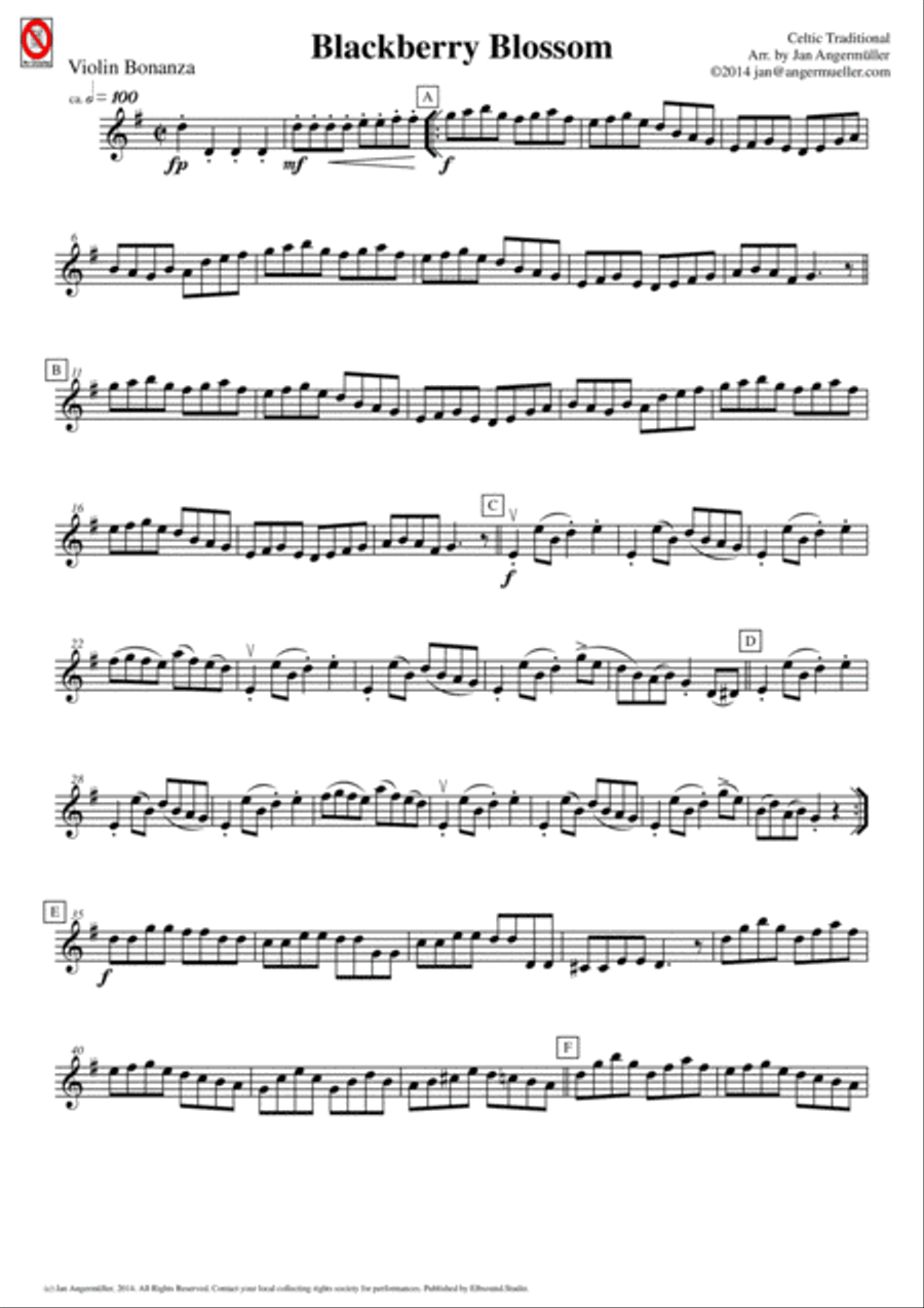 Blackberry Blossom (for mixed school orchestra) Chamber Orchestra scores gallery preview page 5