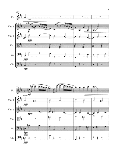 Adagietto for Flute and Strings (score and parts) image number null