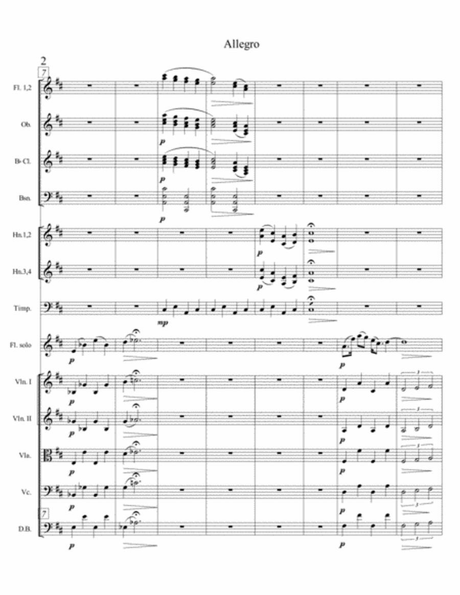 Flute Concerto (score only)