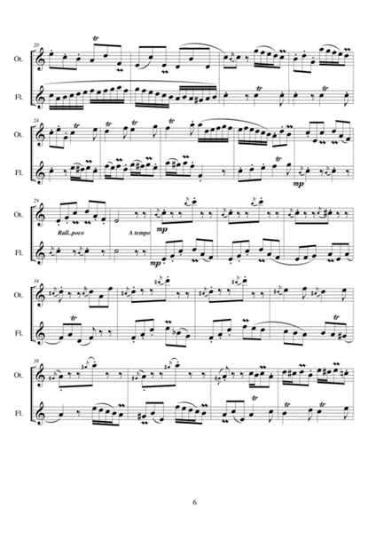 Classic Concertino for flute and piccolo image number null