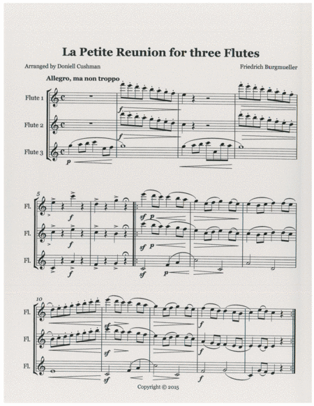La Petit Reunion for Flute Trio