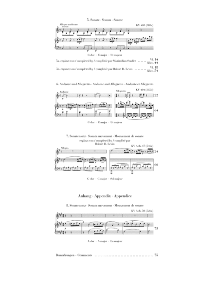 Violin Sonatas, Fragments