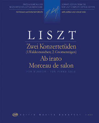 Book cover for 2 Concert Etudes: Ab irato & Morceau de salon
