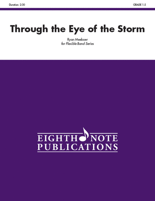 Book cover for Through the Eye of the Storm