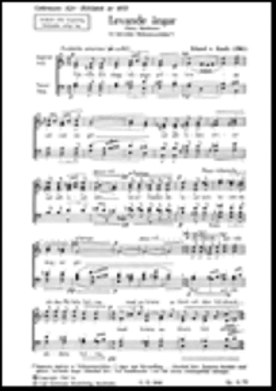 Levande angar Divisi scores gallery preview page 1