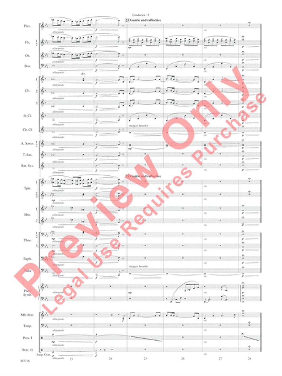 Suite from The Star Wars Epic - Part II Concert Band scores gallery preview page 8
