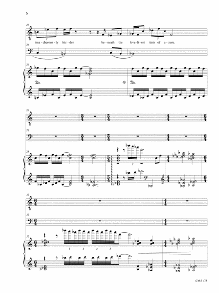 Songs of Solemn Confession: A Song Cycle Bassoon scores gallery preview page 6