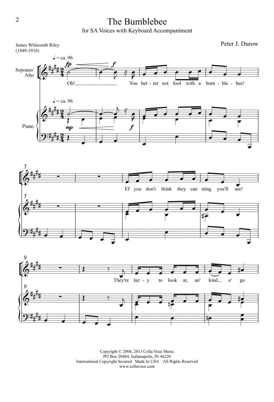 The Bumblebee The Bumblebee SA scores gallery preview page 1