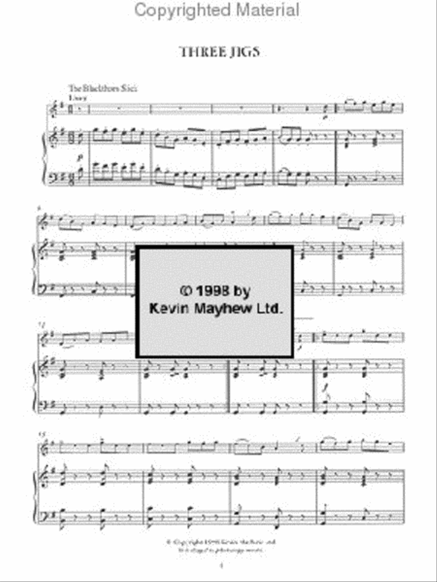 The Irish Fluter Flute Solo scores gallery preview page 5
