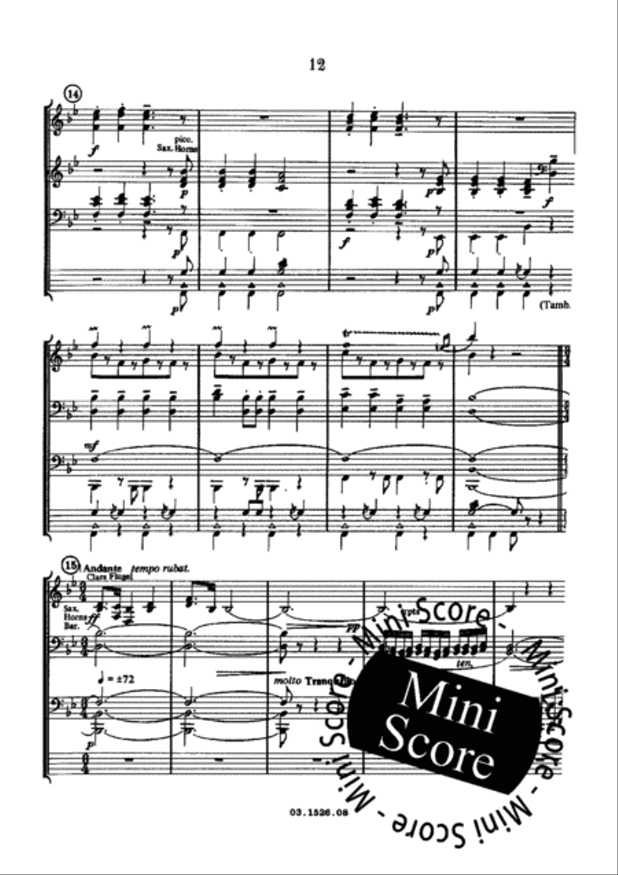 Limburg Fantasie Concert Band scores gallery preview page 14
