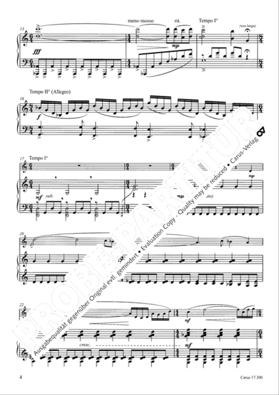 Subway Solitary Flute Solo scores gallery preview page 5