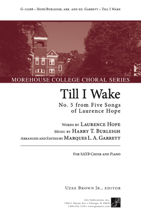 Book cover for Till I Wake