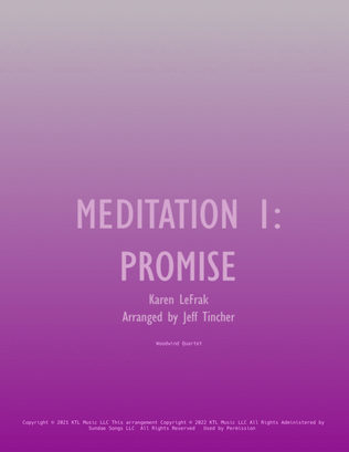 Meditation 1: Promise