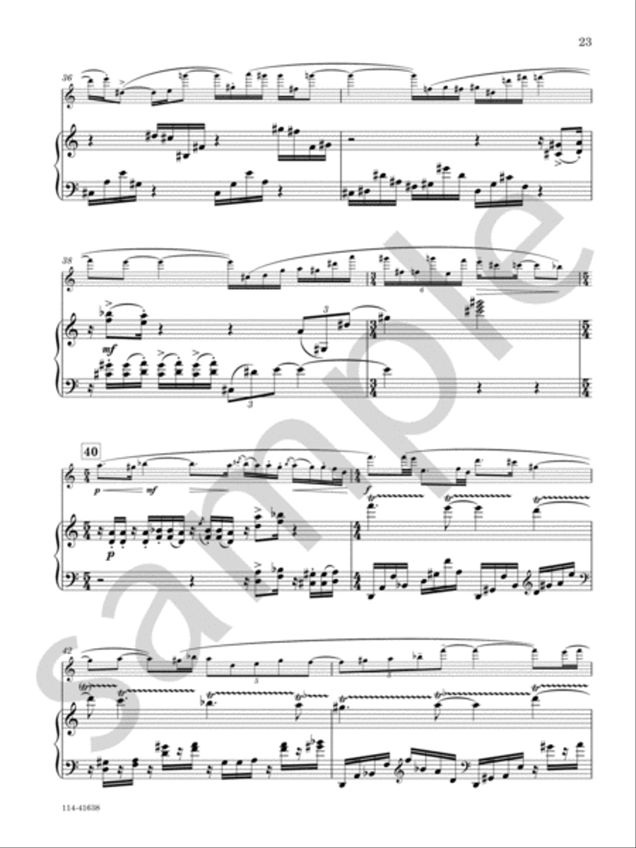Concerto For Flute And Orchestra Chamber Music scores gallery preview page 10