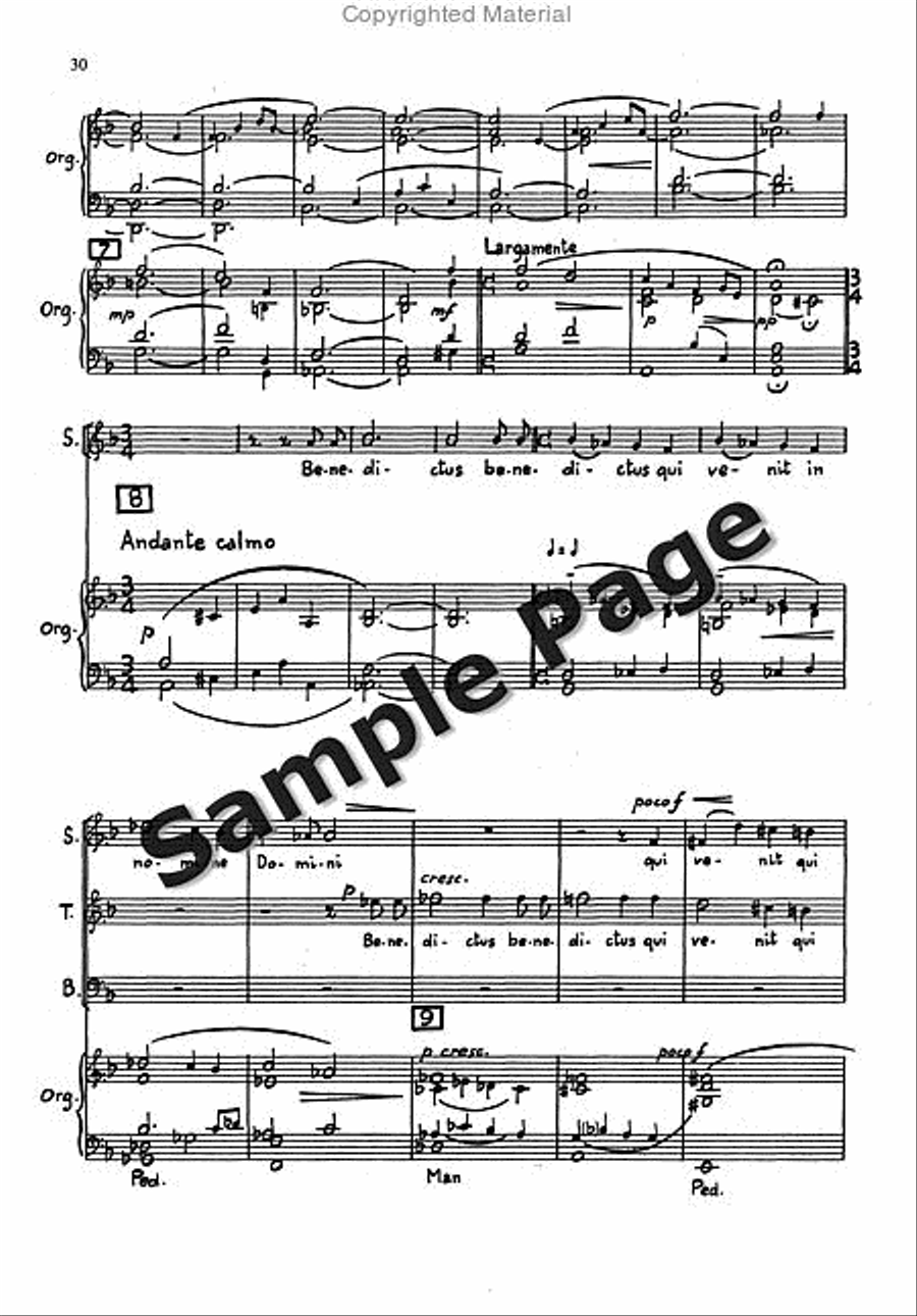 Messa Breve For Mixed Choir (3 Voices Stb) And Organ STB scores gallery preview page 29
