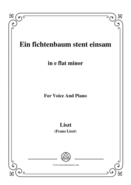 Liszt-Ein fichtenbaum stent einsam in e flat minor,for Voice and Piano image number null
