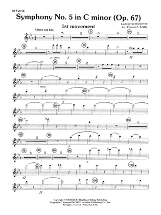 Beethoven's Symphony No. 5, 1st Movement: Flute