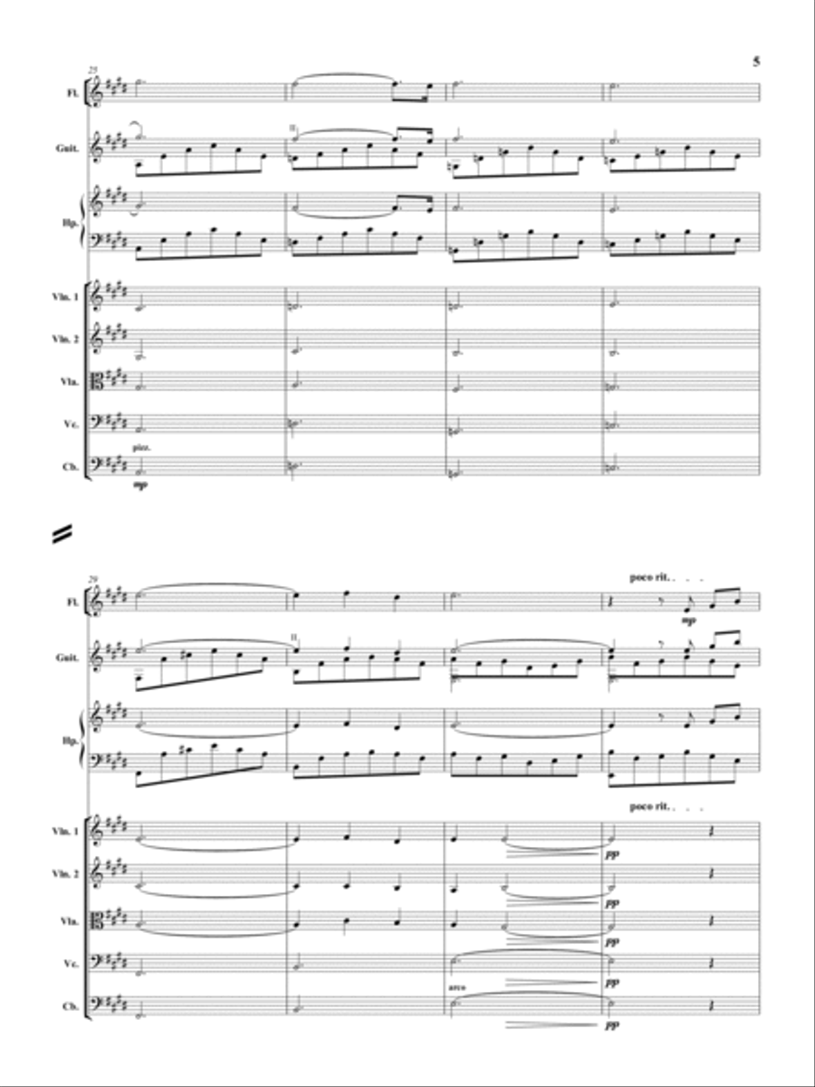 Cavatina Chamber Orchestra scores gallery preview page 6