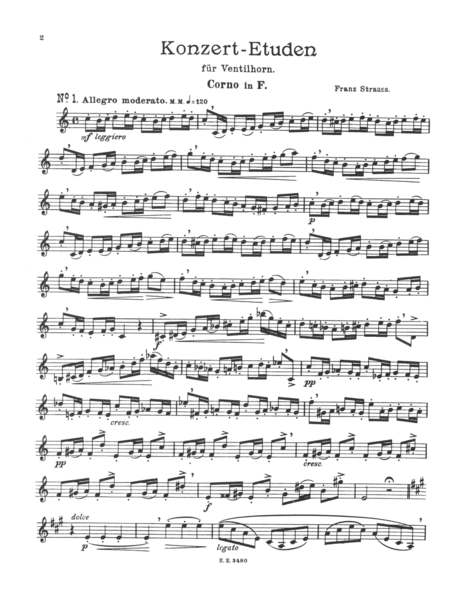 Concert studies for horn