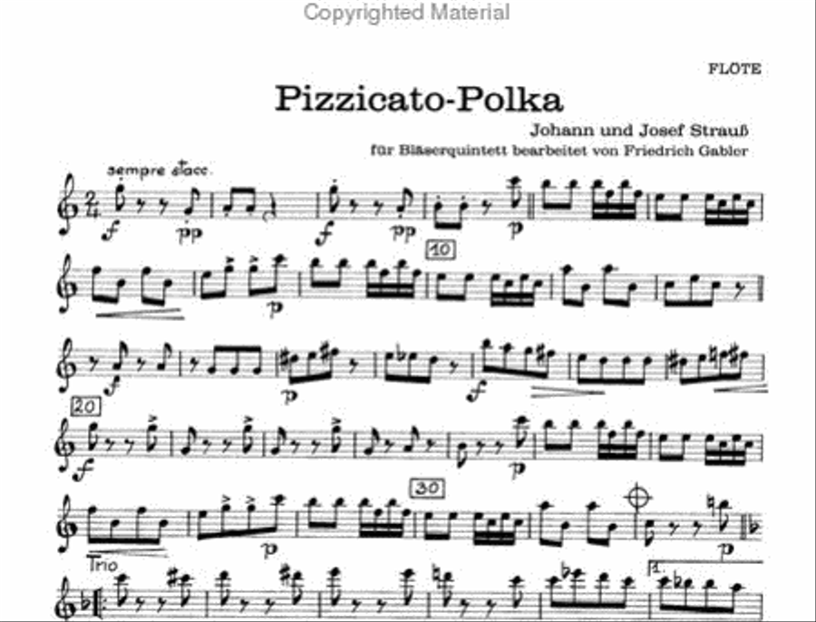 Pizzicato-Polka Pizzicato-Polka Woodwind Quintet scores gallery preview page 2