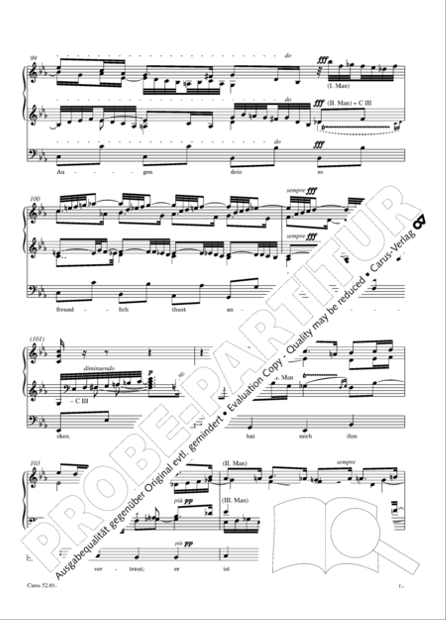Choralphantasie Op. 40 Organ scores gallery preview page 14