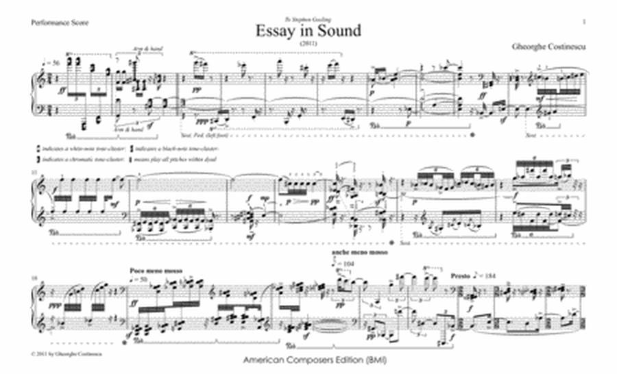 [Costinescu] Essay in Sound