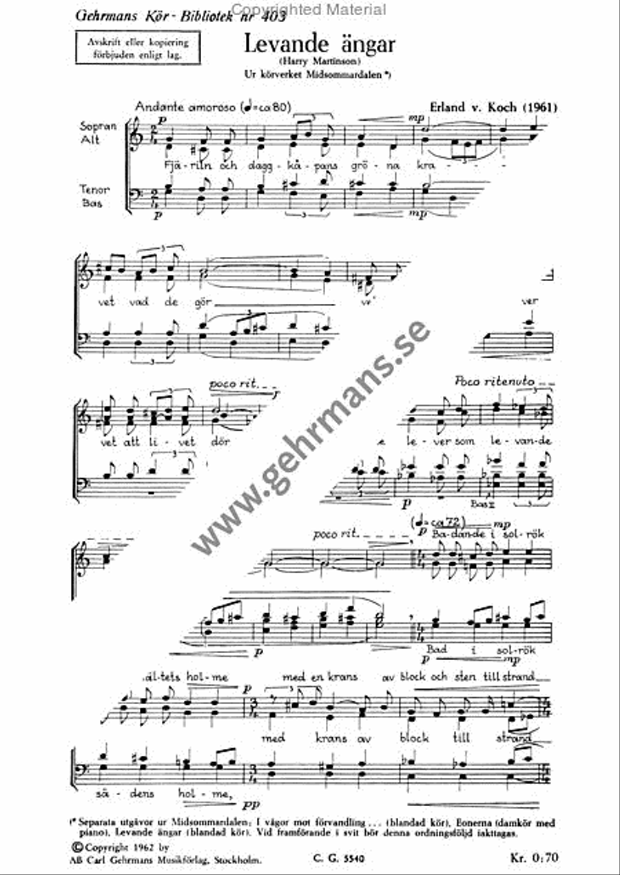 Levande angar Divisi scores gallery preview page 2