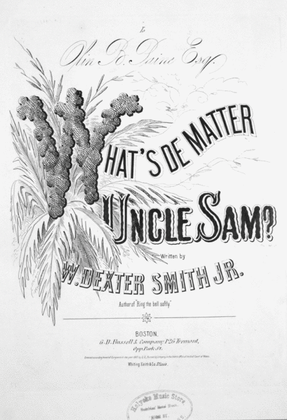 Book cover for What's De Matter Uncle Sam
