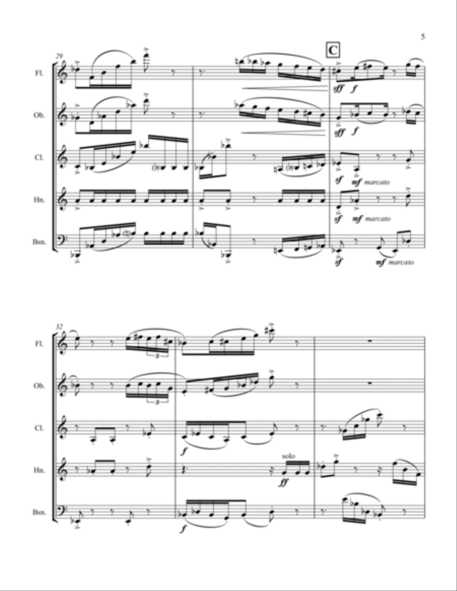 Divertimento for Woodwind Quintet Woodwind Quintet scores gallery preview page 5