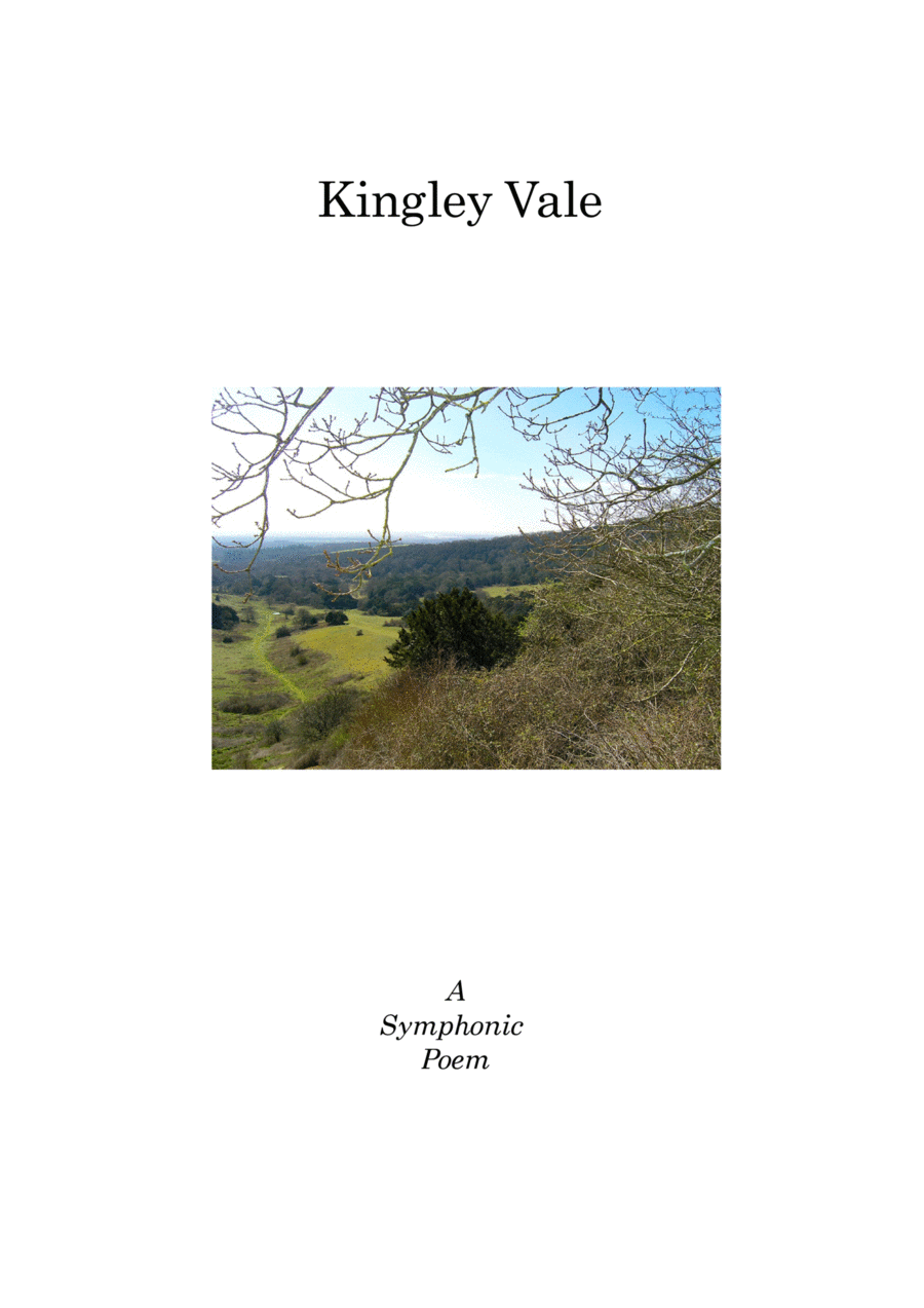 Kingley Vale Full Orchestra scores gallery preview page 1