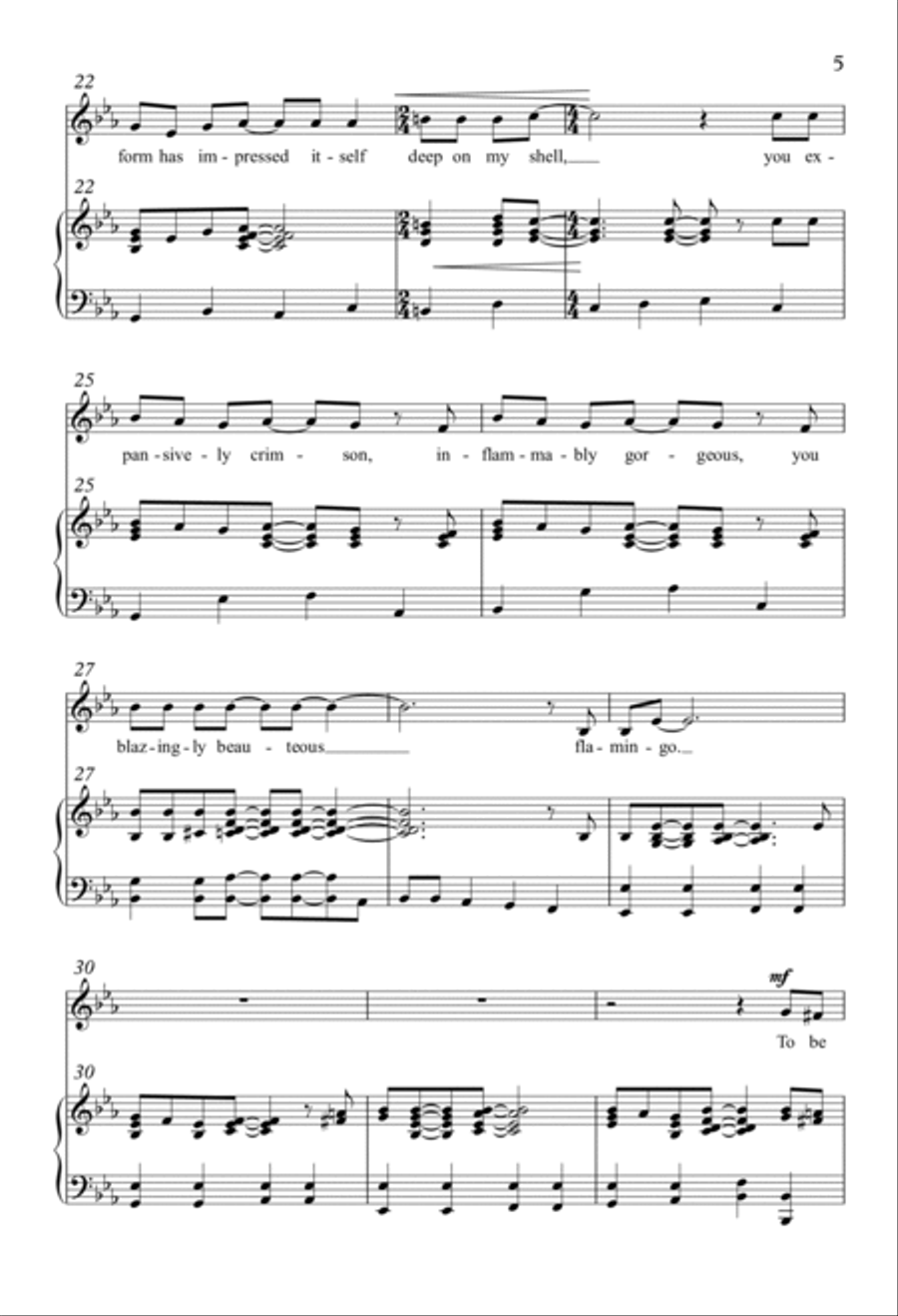 The Turtle and the Flamingo Unison Choir scores gallery preview page 3