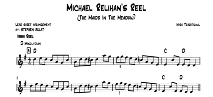 Michael Relihan's Reel (The Maids In The Meadow) - Lead sheet in original key of D Large Ensemble scores gallery preview page 2