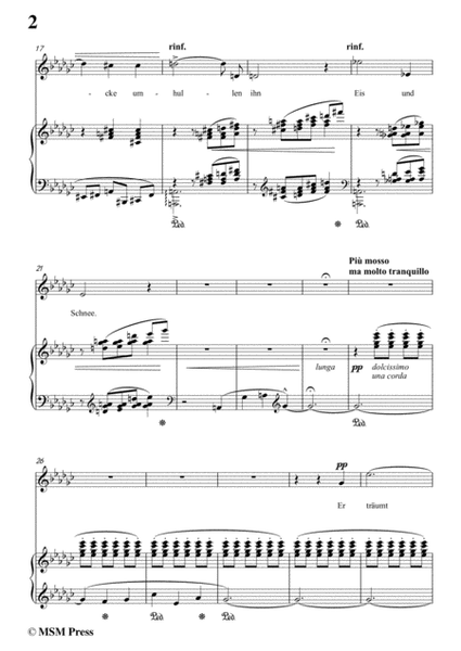 Liszt-Ein fichtenbaum stent einsam in e flat minor,for Voice and Piano image number null