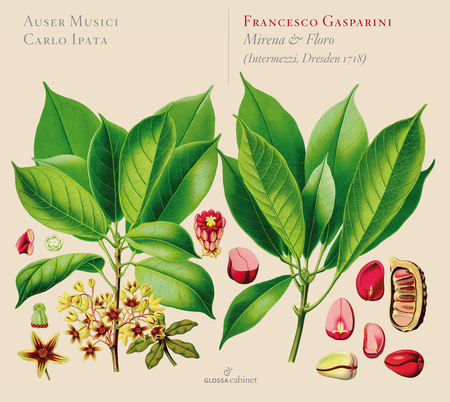 Francesco Gasparini: Mirena & Floro image number null